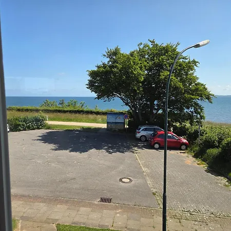 Hohes Ufer Moewennest