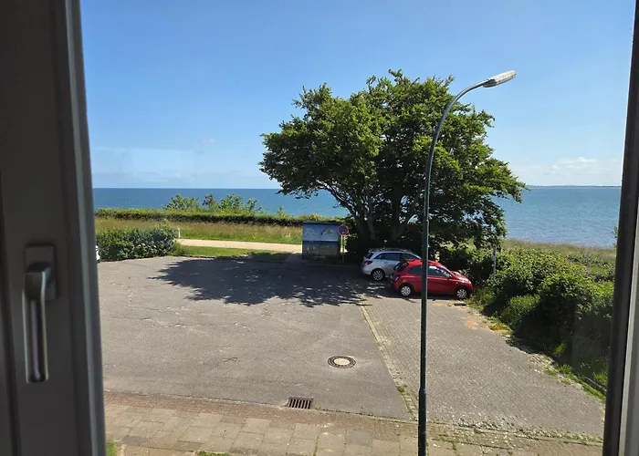 Hohes Ufer Moewennest