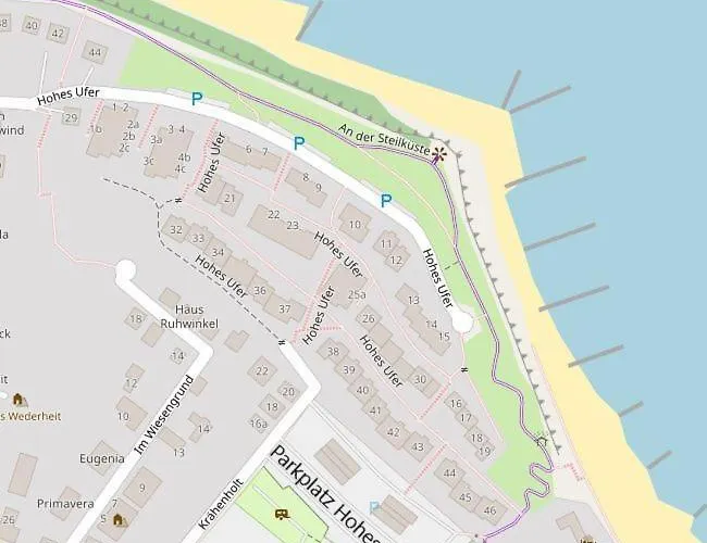 Hohes Ufer Moewennest